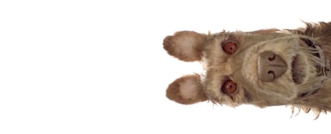 the genius of wes anderson Isle of dogs